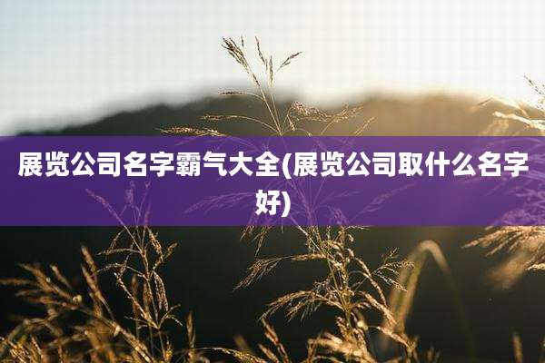 展览公司名字霸气大全(展览公司取什么名字好)