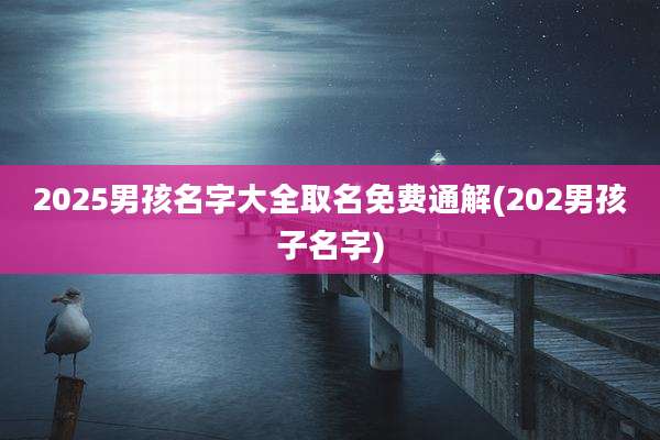 2025男孩名字大全取名免费通解(202男孩子名字)
