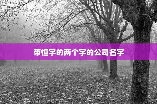 带恒字的两个字的公司名字