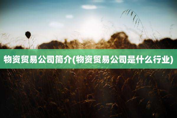 物资贸易公司简介(物资贸易公司是什么行业)
