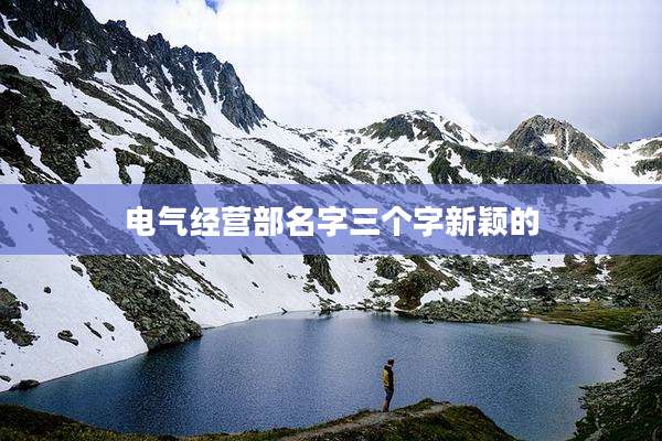 电气经营部名字三个字新颖的