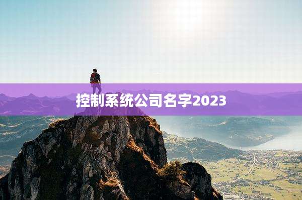 控制系统公司名字2023