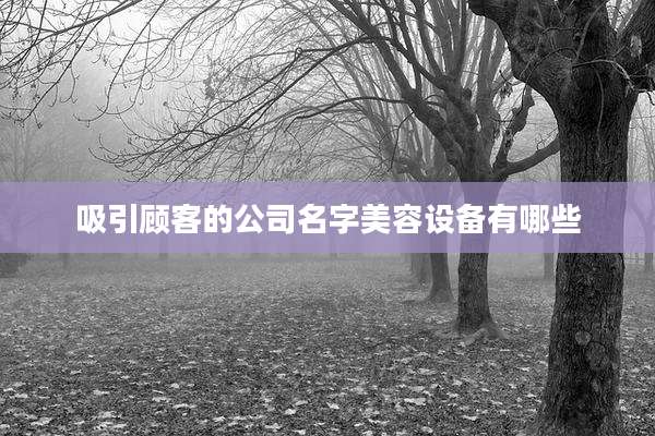 吸引顾客的公司名字美容设备有哪些