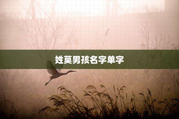 姓莫男孩名字单字
