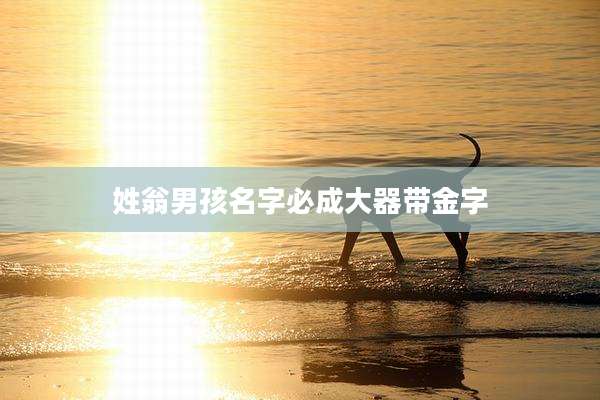 姓翁男孩名字必成大器带金字