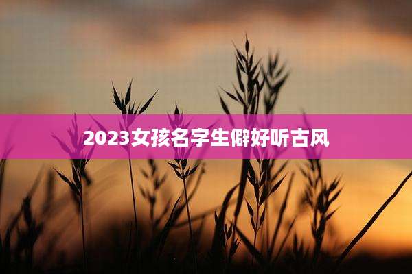 2023女孩名字生僻好听古风