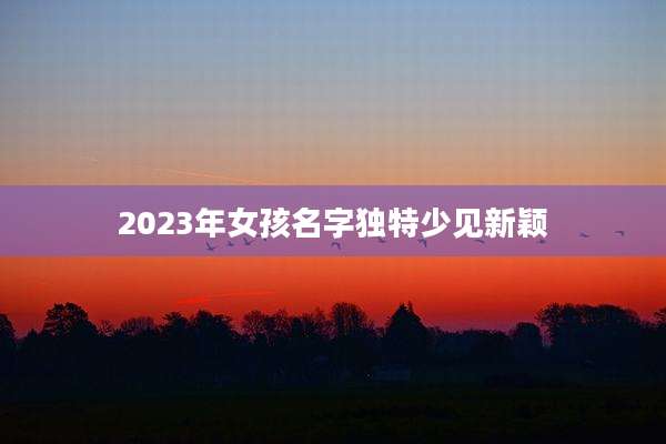 2023年女孩名字独特少见新颖