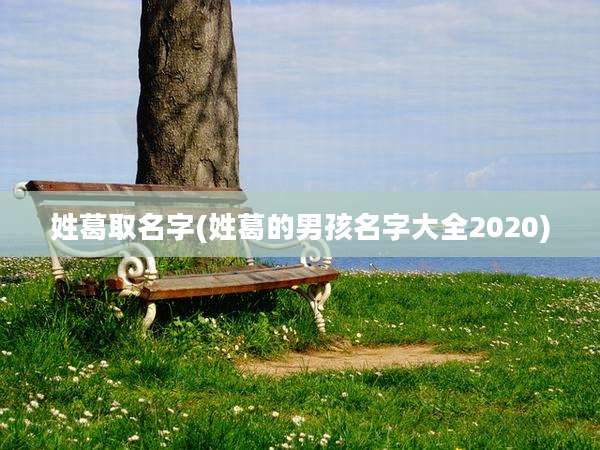 姓葛取名字(姓葛的男孩名字大全2020)