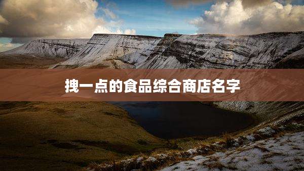 拽一点的食品综合商店名字