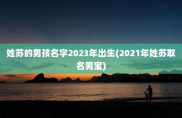 姓苏的男孩名字2023年出生(2021年姓苏取名男宝)