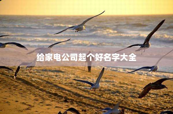给家电公司起个好名字大全