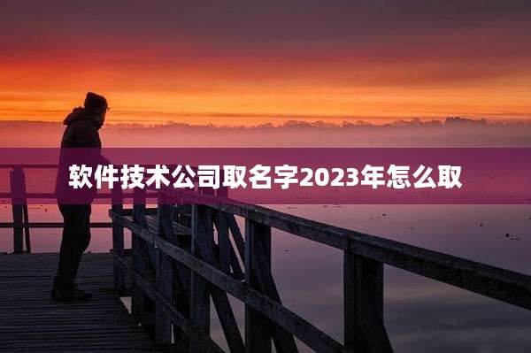 软件技术公司取名字2023年怎么取