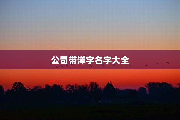 公司带洋字名字大全