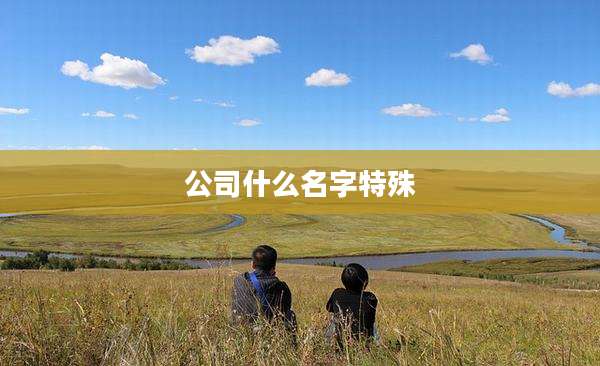 公司什么名字特殊