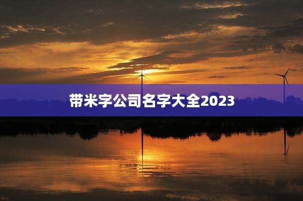带米字公司名字大全2023