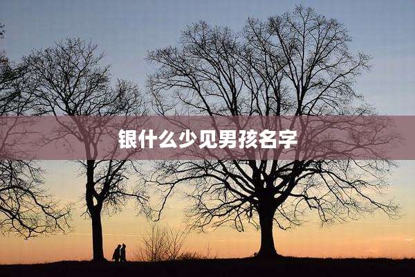 银什么少见男孩名字