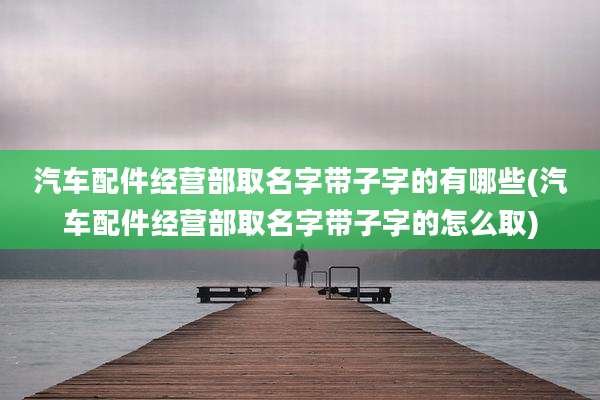 汽车配件经营部取名字带子字的有哪些(汽车配件经营部取名字带子字的怎么取)