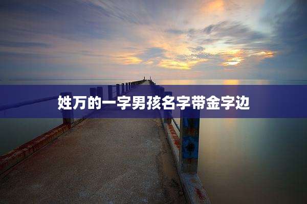 姓万的一字男孩名字带金字边