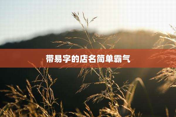 带易字的店名简单霸气