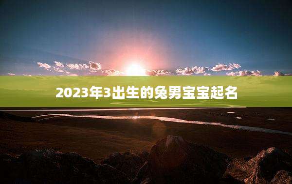 2023年3出生的兔男宝宝起名