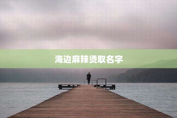 海边麻辣烫取名字
