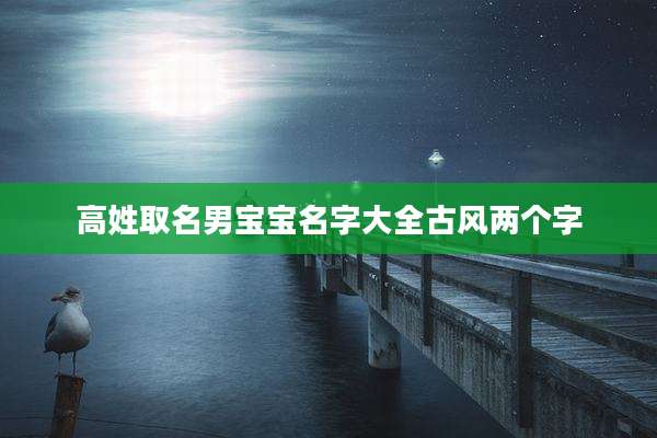 高姓取名男宝宝名字大全古风两个字