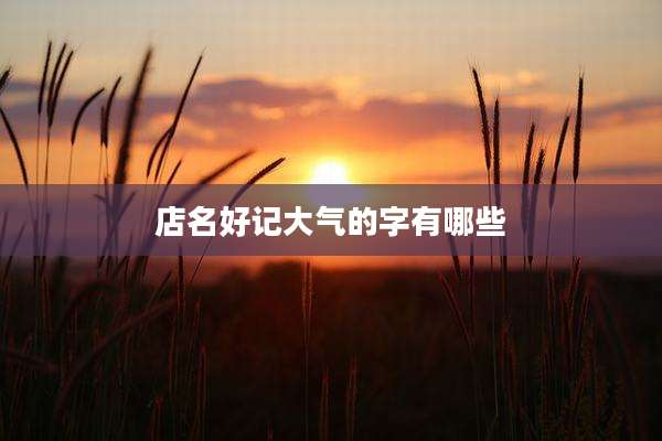 店名好记大气的字有哪些