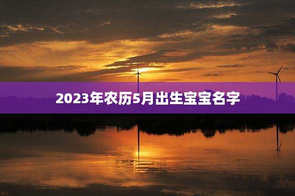 2023年农历5月出生宝宝名字