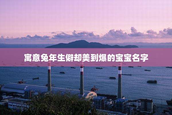 寓意兔年生僻却美到爆的宝宝名字