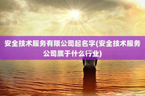 安全技术服务有限公司起名字(安全技术服务公司属于什么行业)