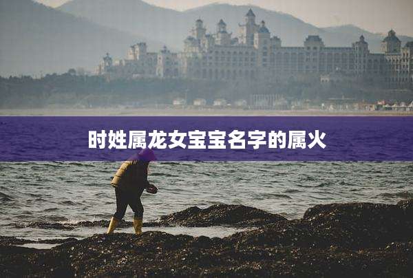 时姓属龙女宝宝名字的属火