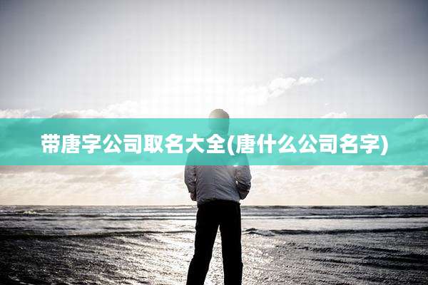 带唐字公司取名大全(唐什么公司名字)