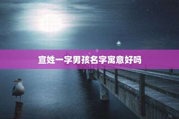 宣姓一字男孩名字寓意好吗