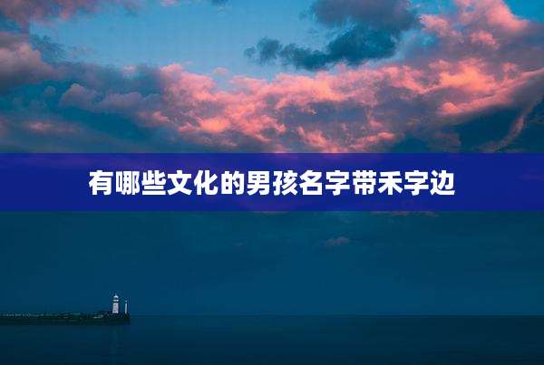有哪些文化的男孩名字带禾字边