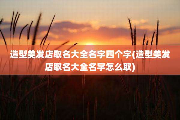 造型美发店取名大全名字四个字(造型美发店取名大全名字怎么取)