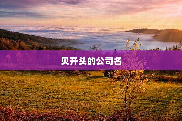 贝开头的公司名