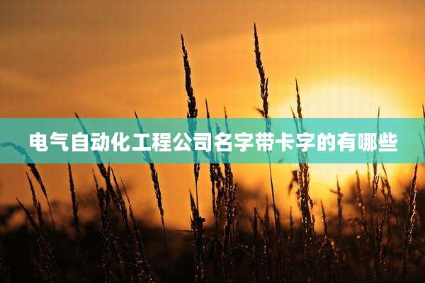 电气自动化工程公司名字带卡字的有哪些