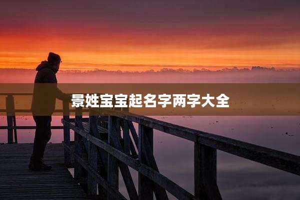 景姓宝宝起名字两字大全