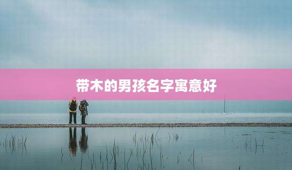 带木的男孩名字寓意好