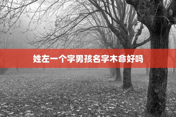 姓左一个字男孩名字木命好吗