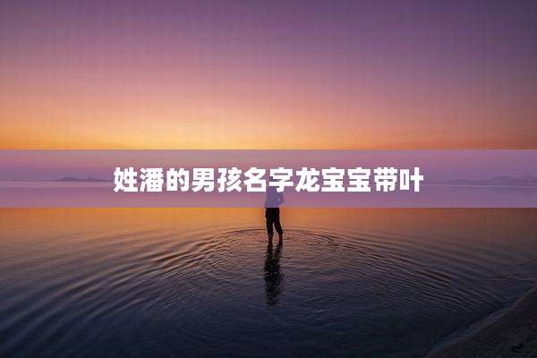 姓潘的男孩名字龙宝宝带叶