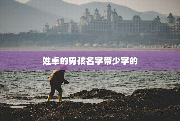 姓卓的男孩名字带少字的