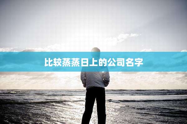 比较蒸蒸日上的公司名字