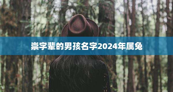 崇字辈的男孩名字2024年属兔