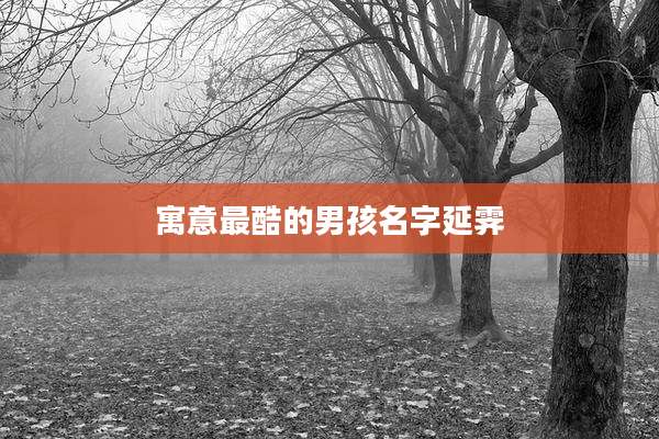 寓意最酷的男孩名字延霁