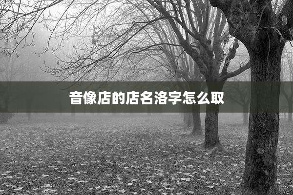 音像店的店名洛字怎么取