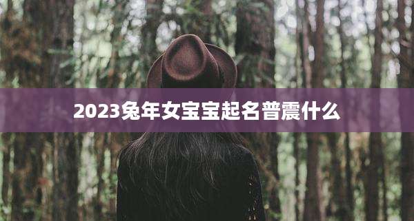 2023兔年女宝宝起名普震什么