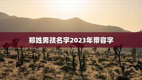 郑姓男孩名字2023年带容字