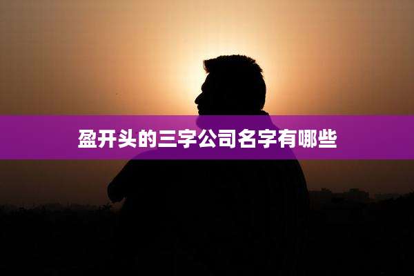 盈开头的三字公司名字有哪些