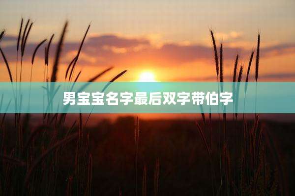 男宝宝名字最后双字带伯字